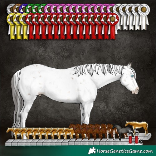Horse Color:Brown Dun Sabino Splash