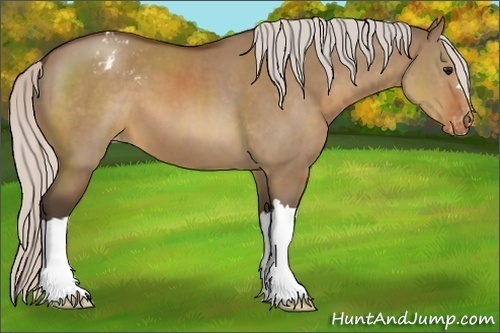 Horse Color:Silver Brown Dun Varnish 