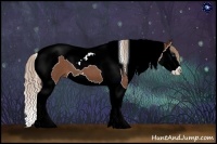 Horse Color:Red Roan Splash Tobiano 