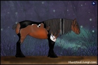 Horse Color:Bay Tobiano 