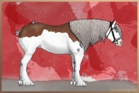 Horse Color:Silver Brown Splash Rabicano