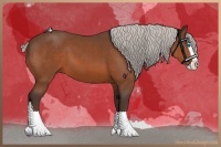 Horse Color:Silver Brown Splash 
