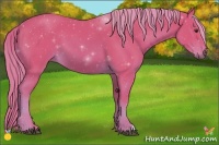 Horse Color:Watercolor Chestnut 