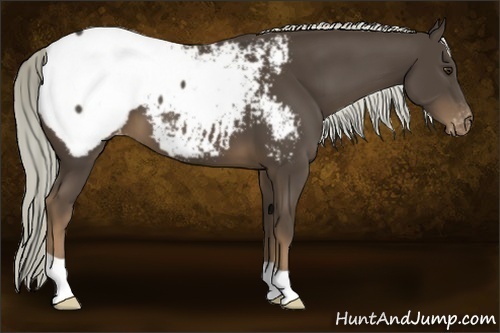 Horse Color:Liver Chestnut Mushroom Snowcap 