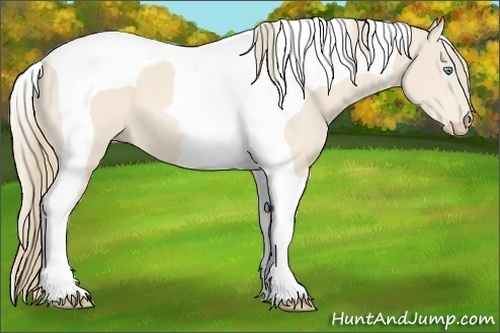 Horse Color:Perlino Tobiano 