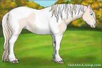 Horse Color:Perlino Tobiano 