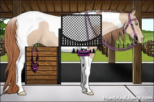 Horse Color:Smoky Black Pearl Tobiano 