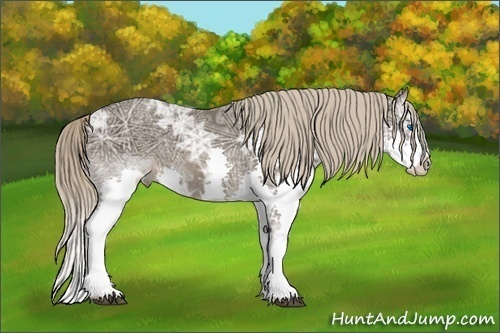 Horse Color:Liver Chestnut Ice Splash