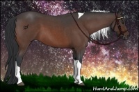 Horse Color:Bay Roan Tobiano