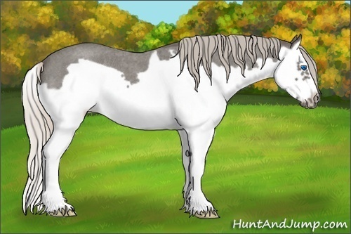 Horse Color:Silver Blue Roan Splash Frame