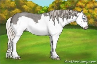 Horse Color:Silver Blue Roan Splash Frame 