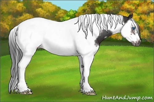 Horse Color:Brown Roan Splash Tobiano Frame 