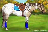 Horse Color:White Spotted Bay Dun Blanket