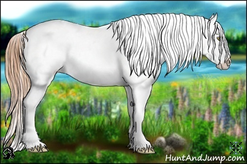 Horse Color:Gold Champagne Varnish 