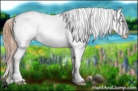 Horse Color:Gold Champagne Varnish