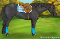Horse Color:Smoky Black 