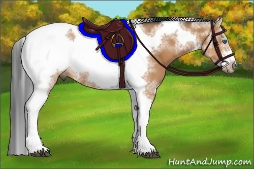 Horse Color:Bay Tobiano Frame 