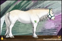 Horse Color:White Spotted Silver Classic Champagne Dun Splash 