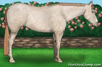 Horse Color:Smoky Black Ice Pearl 