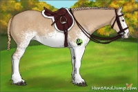 Horse Color:White Spotted Red Dun