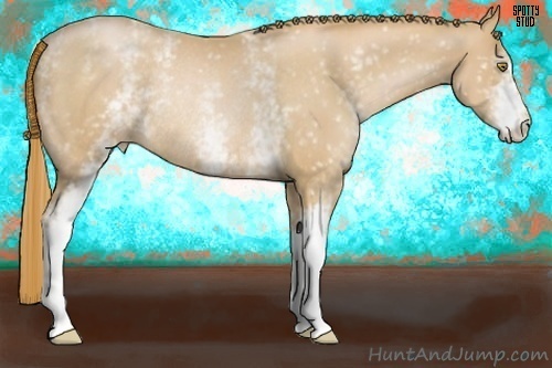 Horse Color:White Spotted Chestnut Pearl Rabicano 