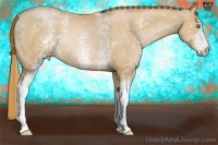 Horse Color:White Spotted Chestnut Pearl Rabicano 