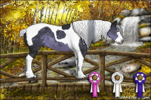 Horse Color:Gray Silver Black Chinchilla Splash Tobiano 