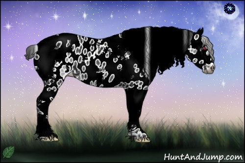 Horse Color:Gray Black Chinchilla Splash Tobiano Leopard