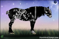 Horse Color:Gray Black Chinchilla Splash Tobiano Appaloosa