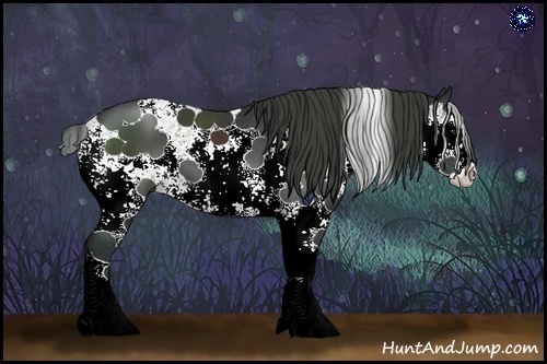 Horse Color:Black Chinchilla Sabino 