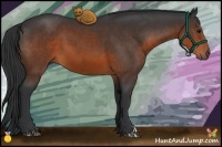 Horse Color:Brown 