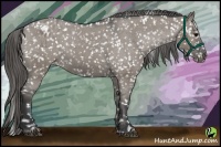 Horse Color:Grullo Snowflake Varnish 