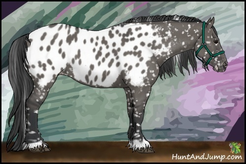 Horse Color:Grullo Near Leopard 