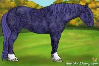 Horse Color:Watercolor Black Ice 