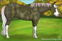 Horse Color:Watercolor Silver Black Ice Splash 