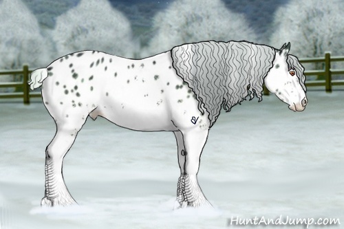 Horse Color:White Spotted Silver Black Chinchilla Sabino Near Leopard 