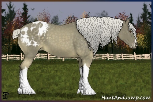 Horse Color:Chocolate Palomino Sabino Tobiano Appaloosa 