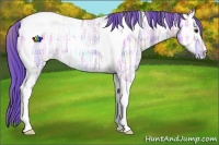 Horse Color:Watercolor Plaid Bay Ice Dun Tobiano Rabicano