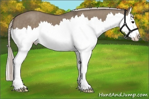 Horse Color:Silver Grullo Splash Brindle 