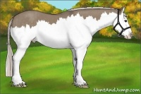 Horse Color:Silver Grullo Splash Brindle 