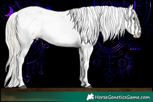 Horse Color:Silver Black Pearl Sabino 