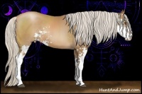 Horse Color:Silver Black Pearl Sabino 