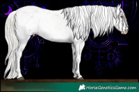Horse Color:Silver Black Pearl Sabino 