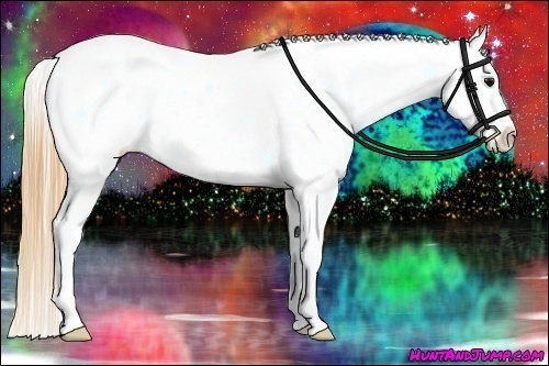 Horse Color:Smoky Black Splash Frame Appaloosa