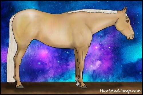 Horse Color:Silver Black Pearl Sabino 