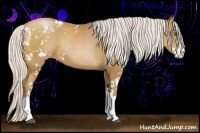 Horse Color:Silver Black Pearl Sabino Rabicano