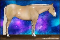 Horse Color:Silver Black Pearl Sabino