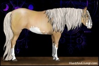 Horse Color:Silver Black Pearl Sabino 