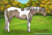 Horse Color:Silver Black Tobiano Rabicano