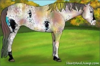 Horse Color:Nacre White Spotted Brown Ice Onyx Sabino Varnish 